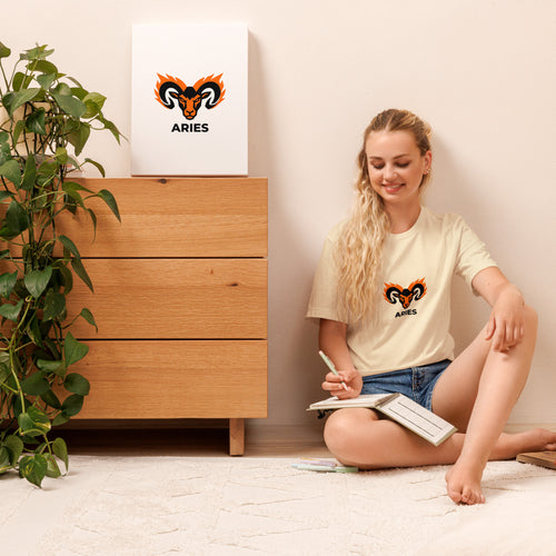 Blaze Ram tee: flaming ram horns in black and orange on a unisex Aries t-shirt